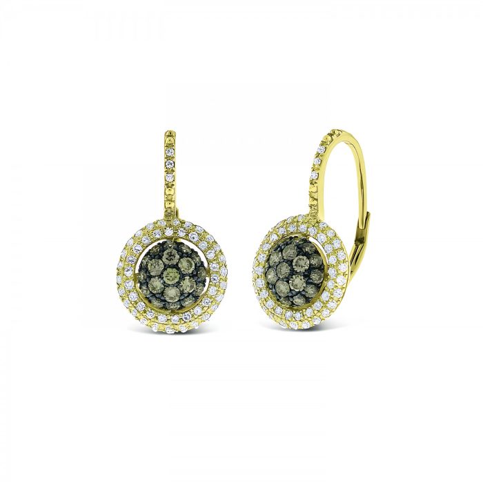 14k Yellow Gold Champagne And White Diamond Small Circle Earrings