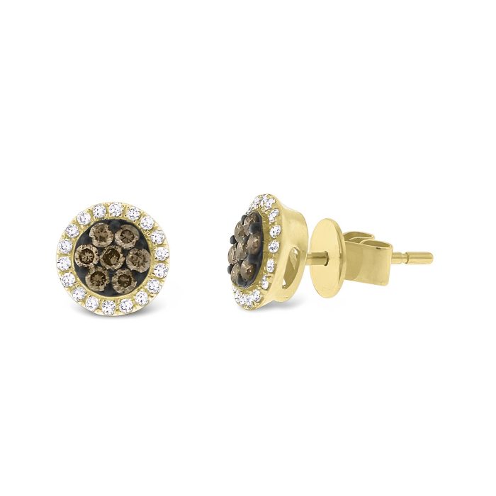 14k Yellow Gold Champagne & White Diamond Circle Earrings