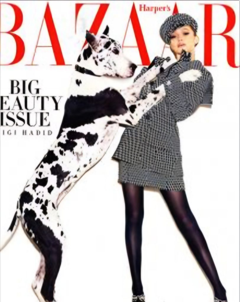 Harper&rsquo;s Bazaar magazine cover