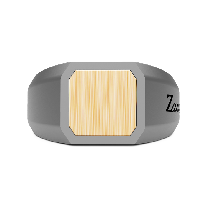 Zancan Eternity Titanium 18k Yellow Gold and Titanium Signet Ring